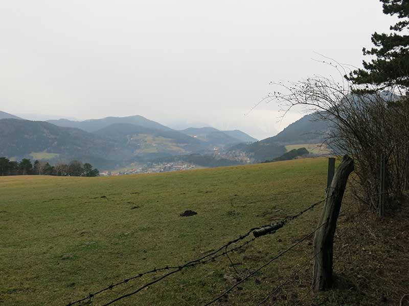 Hohe Wand